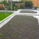 MB - Garten & Landschaftsbau - Dachbegrünung